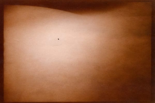 Naoyuki Ogino, Membrane 04, 2016