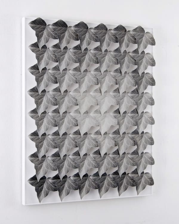 Norio Takasugi, Efeu 15-4G, 2017