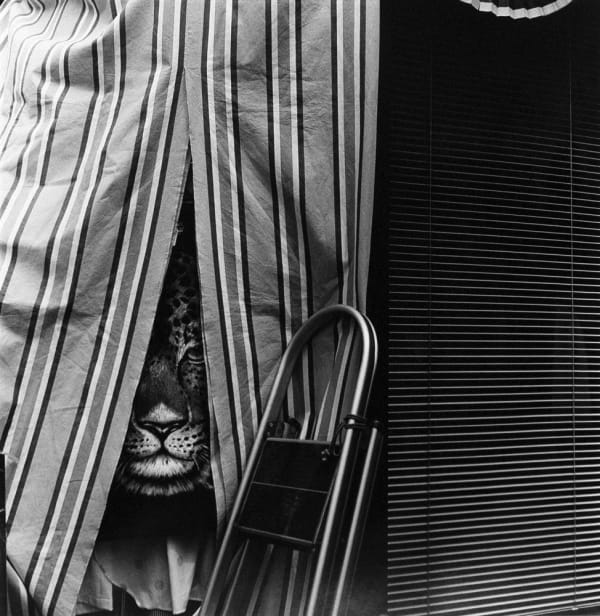 Asako Narahashi, Untitled, from Nu-e (leopard), 1994