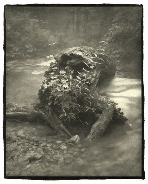 Nobuyuki Kobayashi, kizashi, 2010