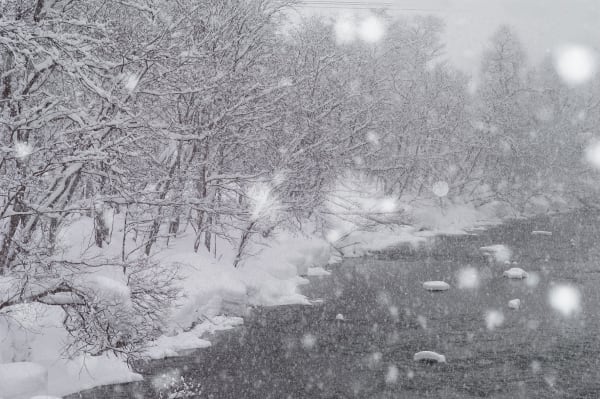 Asako Shimizu, Storyteller #3, 2012-2014/2022