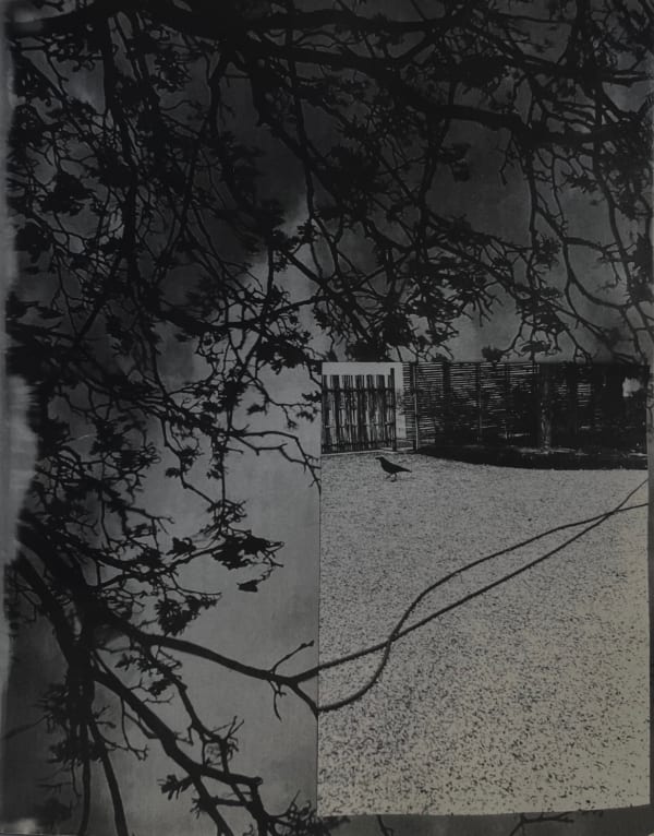 Sayako Sugawara, G-N, 2018