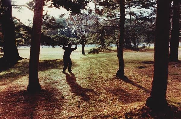 Sean Lotman, Gosho Silhouette, 2014