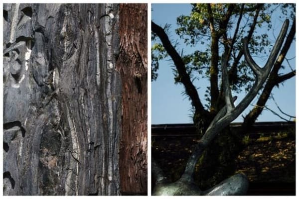 Otani/Nieuwenhuize, NIEUWENHUIZE OTANI / Dazaifu Tenmangu #4, 2016