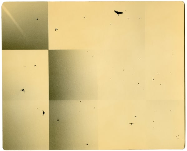 Miho Kajioka, BK0370, 2018