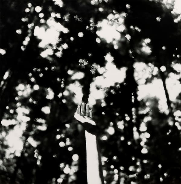 Ingrid Dorner, Liminal.IIII.08, 2025