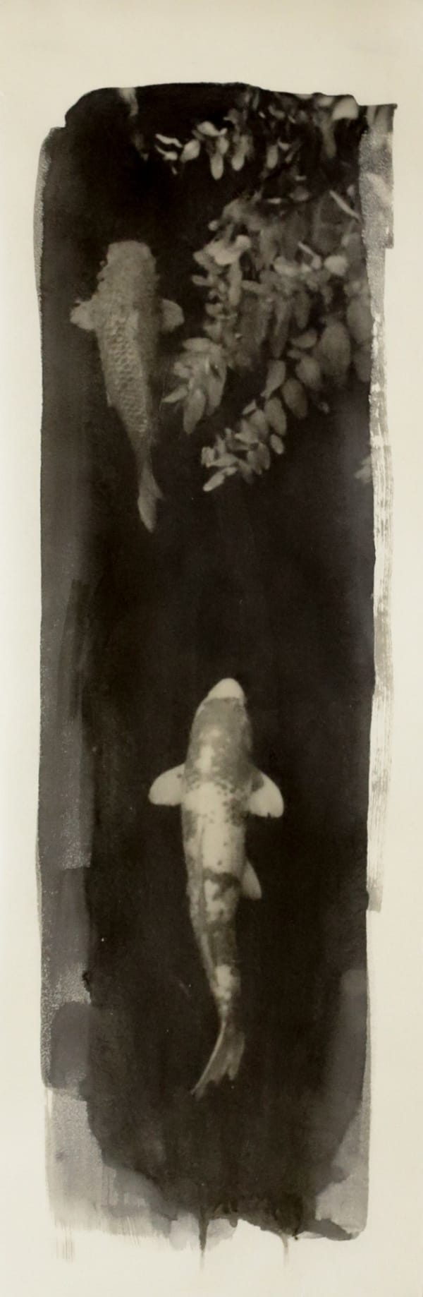 Naohiro Ninomiya, Nokomi-24, 2022