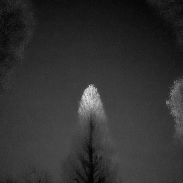 Toshiya Watanabe, Somewhere not here #014, 2016