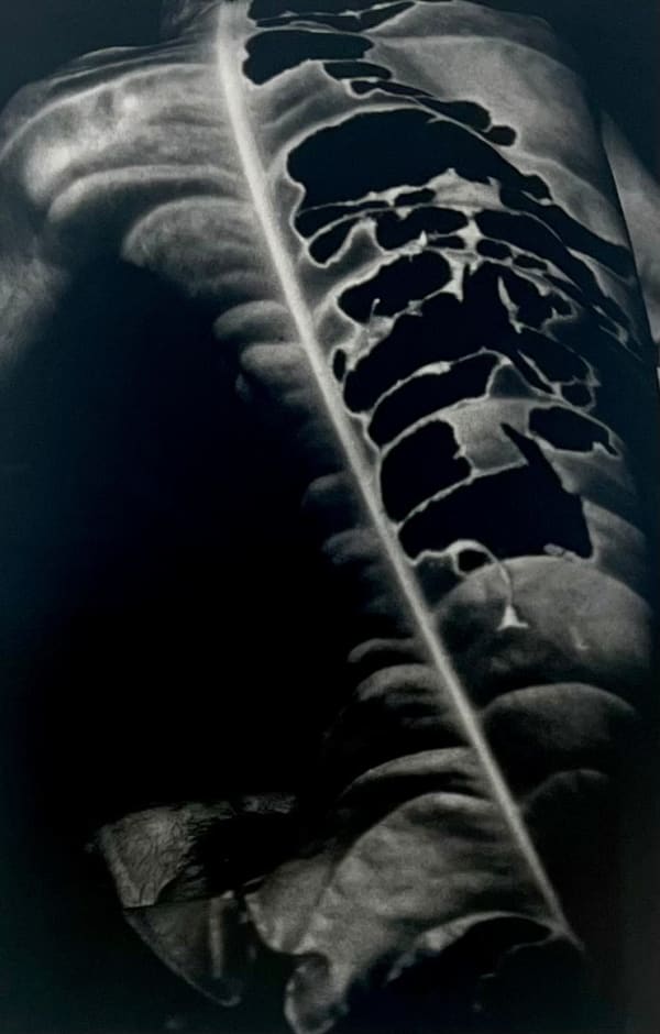 Yoko Mazuki, Chrysalis, 2001