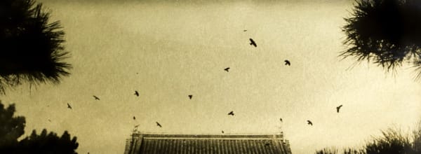 Naohiro Ninomiya, Glanage-69, 2023