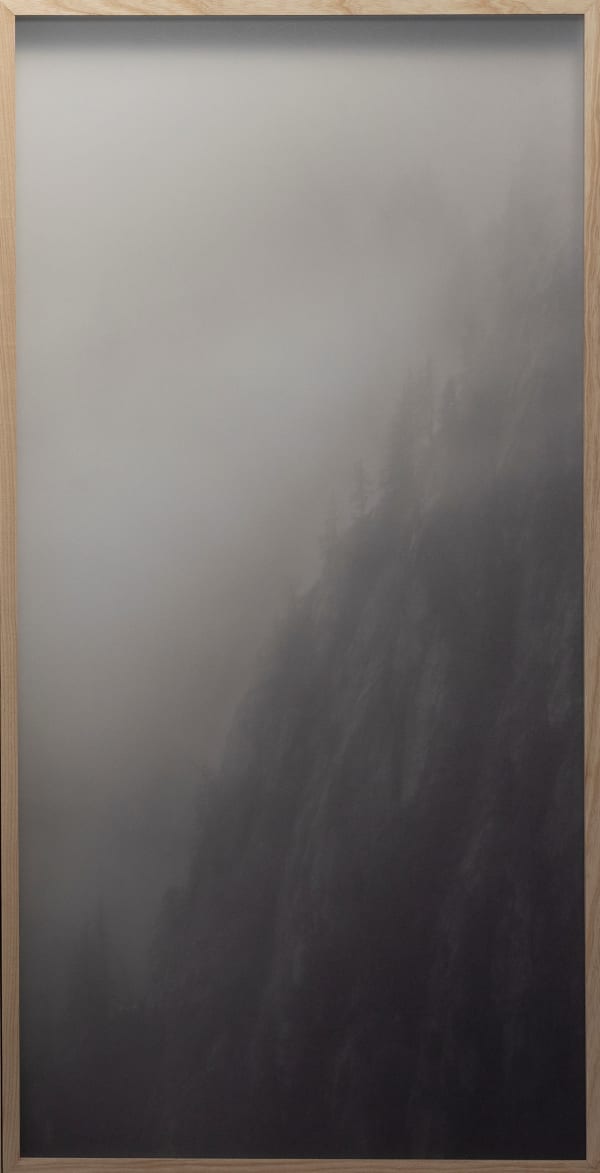 Casper Faassen, Pine Trees III, 2023