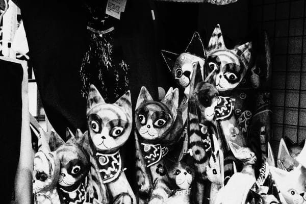 NEKO Project, Takehiko Nakafuji - Untitled