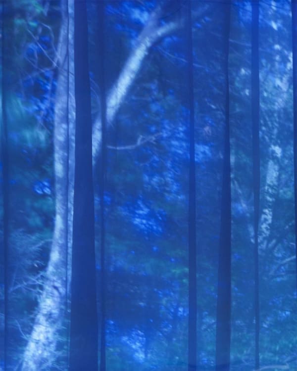 Motohiro Takeda, Untitled from Blink/Matataki, 2015