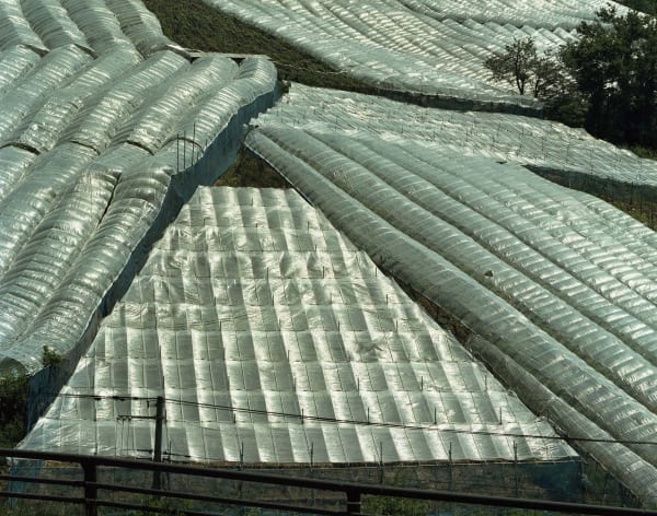 Toshio Shibata, C-2627 Nanyo City, Yamagata Prefecture, 2015