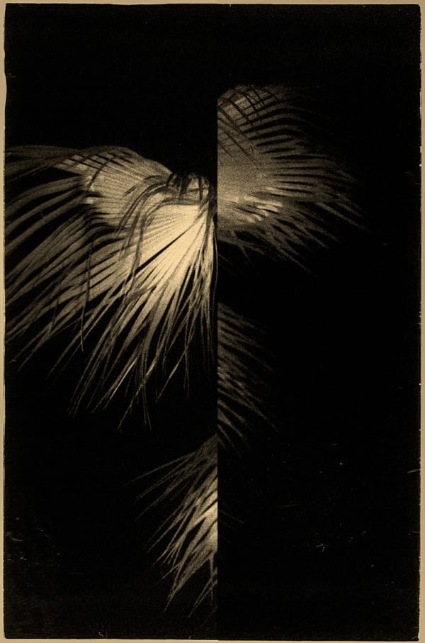 Paul Cupido, Yu, 2018