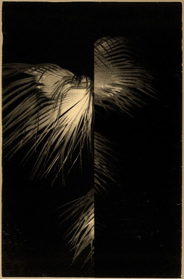 Paul Cupido, Yu, 2018