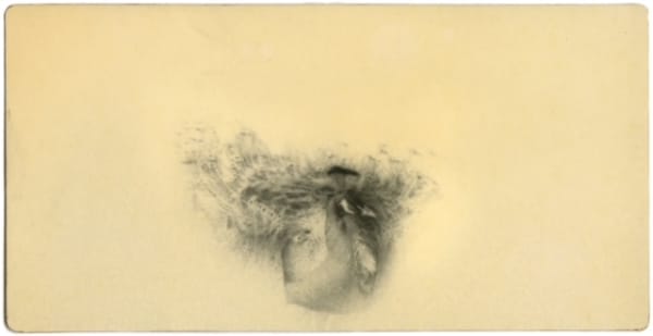 Miho Kajioka, #0029, 2017