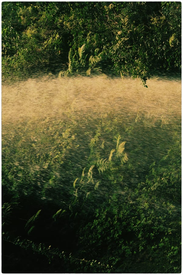 Albarrán Cabrera, The Mouth of Krishna #624, 2017