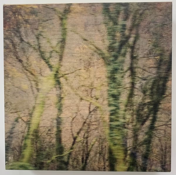 Miho Kajioka, and, do you still hear the peacocks?, 2021