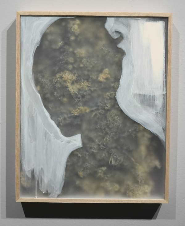 Casper Faassen, Root painting 2, 2025