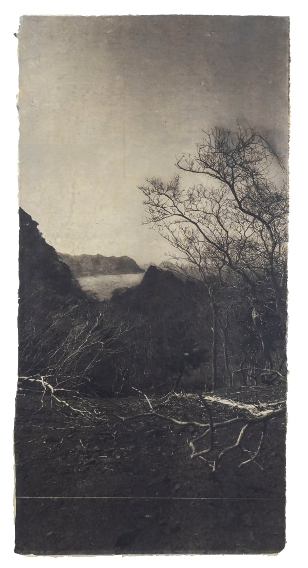 Ali Uchida, Untitled, 2021