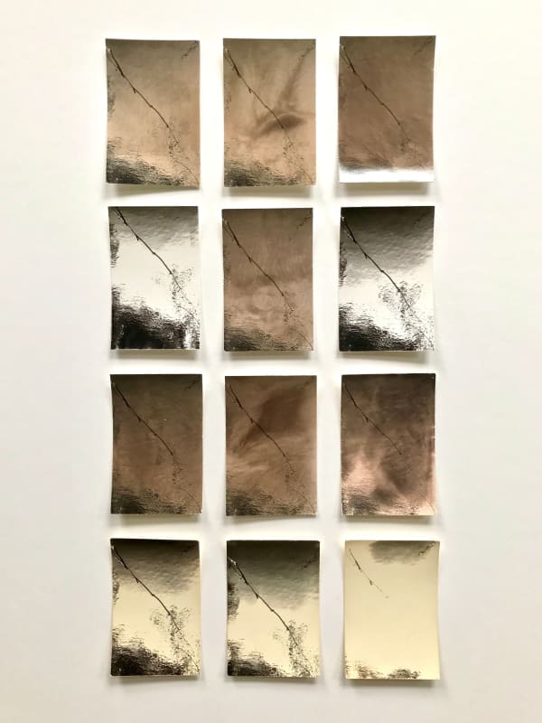 Sayako Sugawara, Magic Wand, 2020