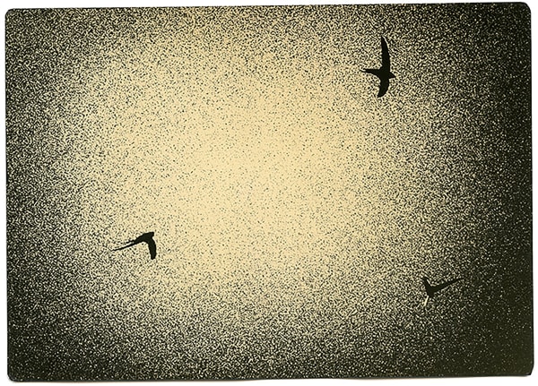 Miho Kajioka, BK0489, 2019