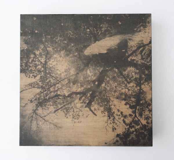 Miho Kajioka, and, do you still hear the peacocks?, 2021