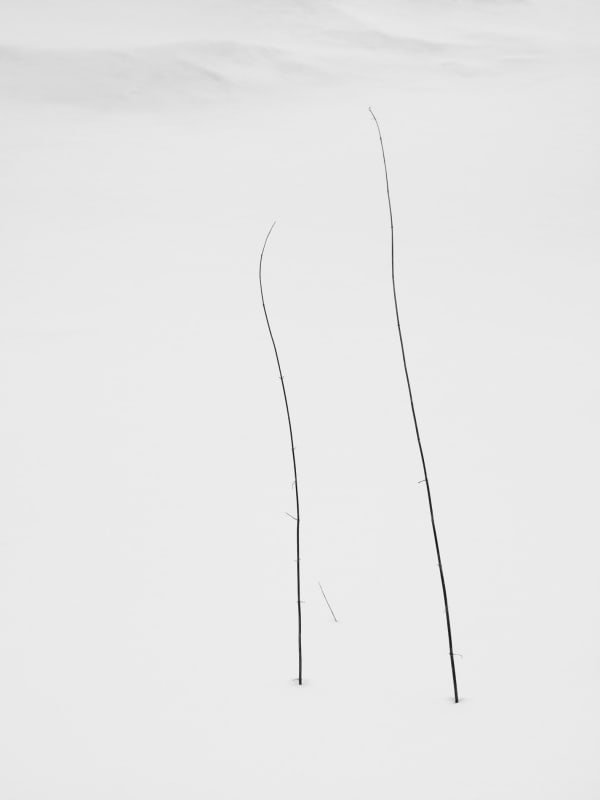 Yoshinori Saito, Irwaku, 2013