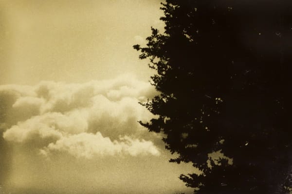 Naohiro Ninomiya, Glanage-77, 2021