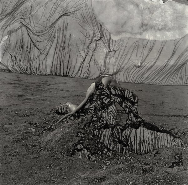 Ingrid Dorner, Liminal12, 2022