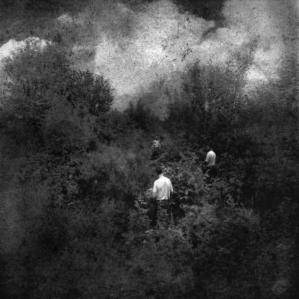 Hideyuki Ishibashi, Presage #8, 2014