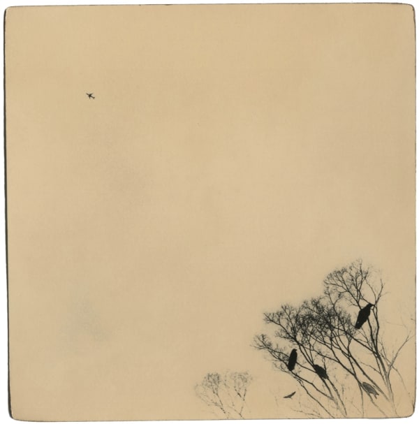 Miho Kajioka, BK0567, 2018