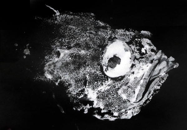 Anaïs Lopez, The Monster, 2022 / gyotaku 2025