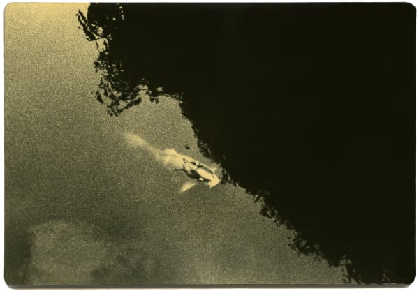 Miho Kajioka, BK0281, 2016