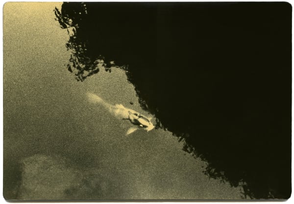 Miho Kajioka, BK0281, 2016