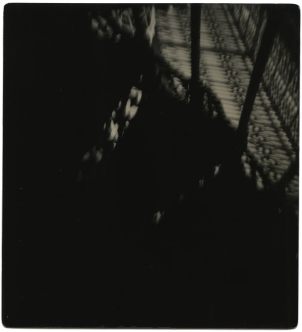 Miho Kajioka, BK0257, 2016