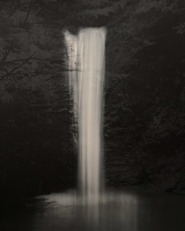 Naohiro Ninomiya, Shirataki, 2010