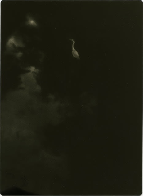 Miho Kajioka, #0002, 2021