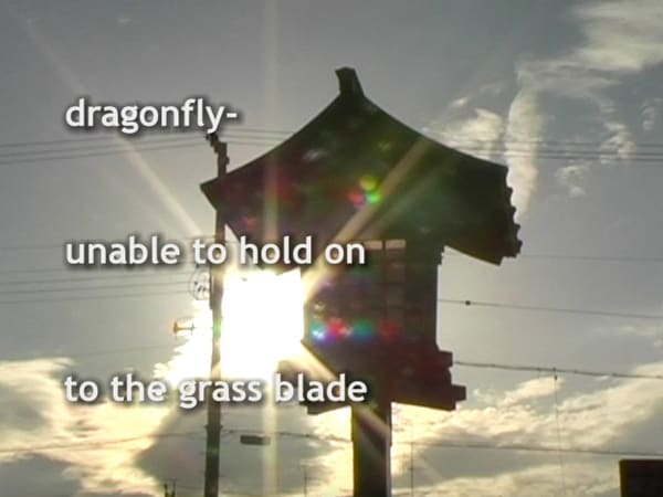 Madelon Hooykaas, Dragon fly Haiku, from 'Haiku, the art of the present moment', 2007/2023