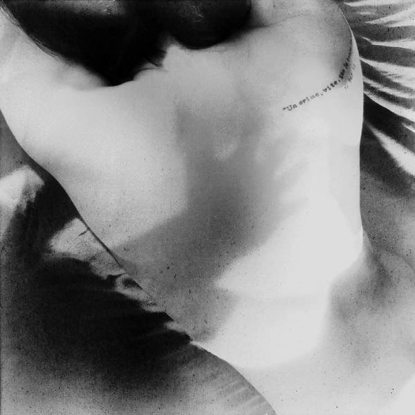 Hideyuki Ishibashi, Presage #4, 2014