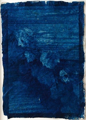 Mika Horie, Ivy and wood, 2017