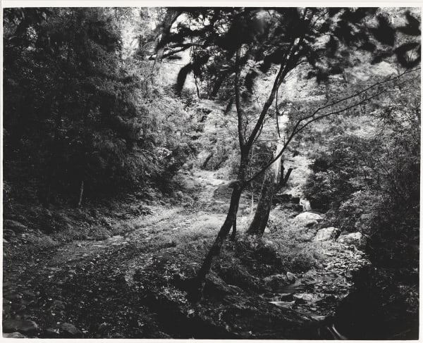 Ken Domon, Koji Junrai - Plate 109, 1963-1972