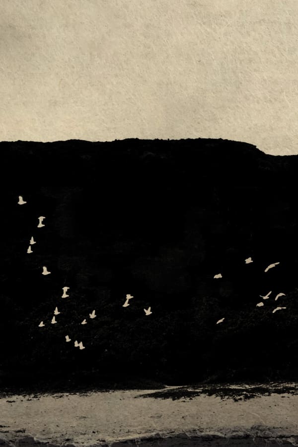 Paul Cupido, Matsushima Day 2, 2019