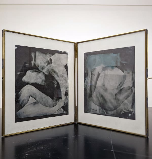 Tomasz Laczny, Plague 12, Plague 13, 2022