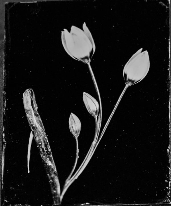 Steffen Diemer, 639, 2021