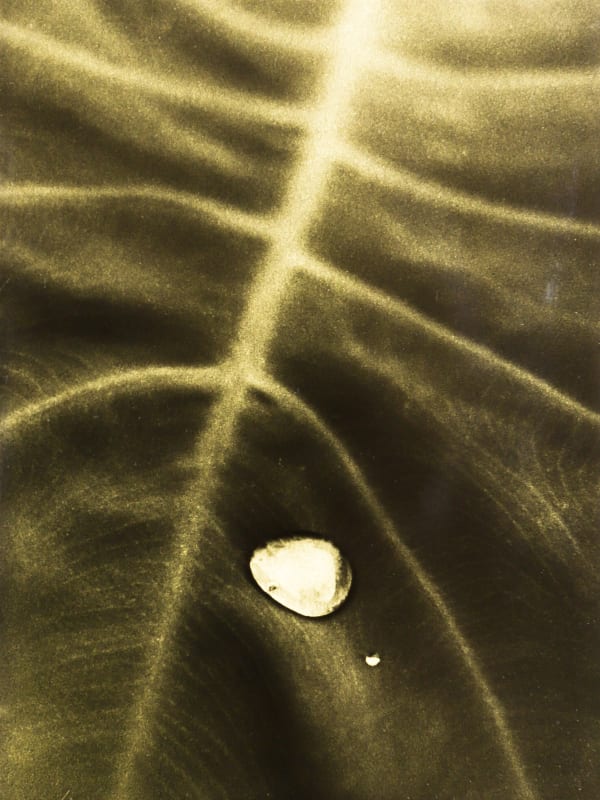 Naohiro Ninomiya, Glanage-48, 2021