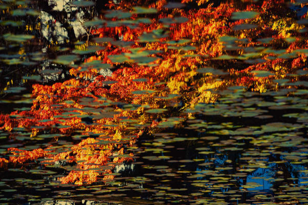 Albarrán Cabrera, The Mouth of Krishna #990, 2019/2020