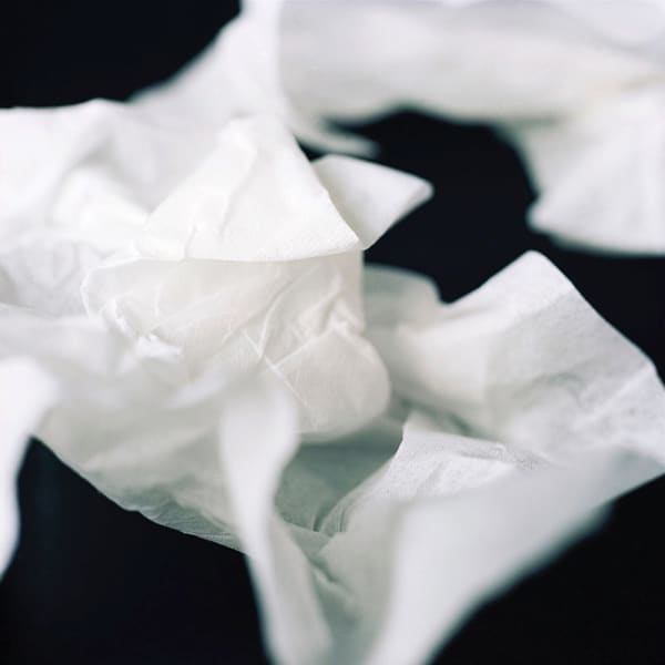 Kumi Oguro, KAT_2, 2018