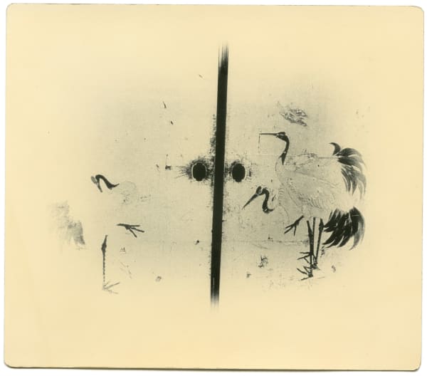 Miho Kajioka, BK0392, 2018